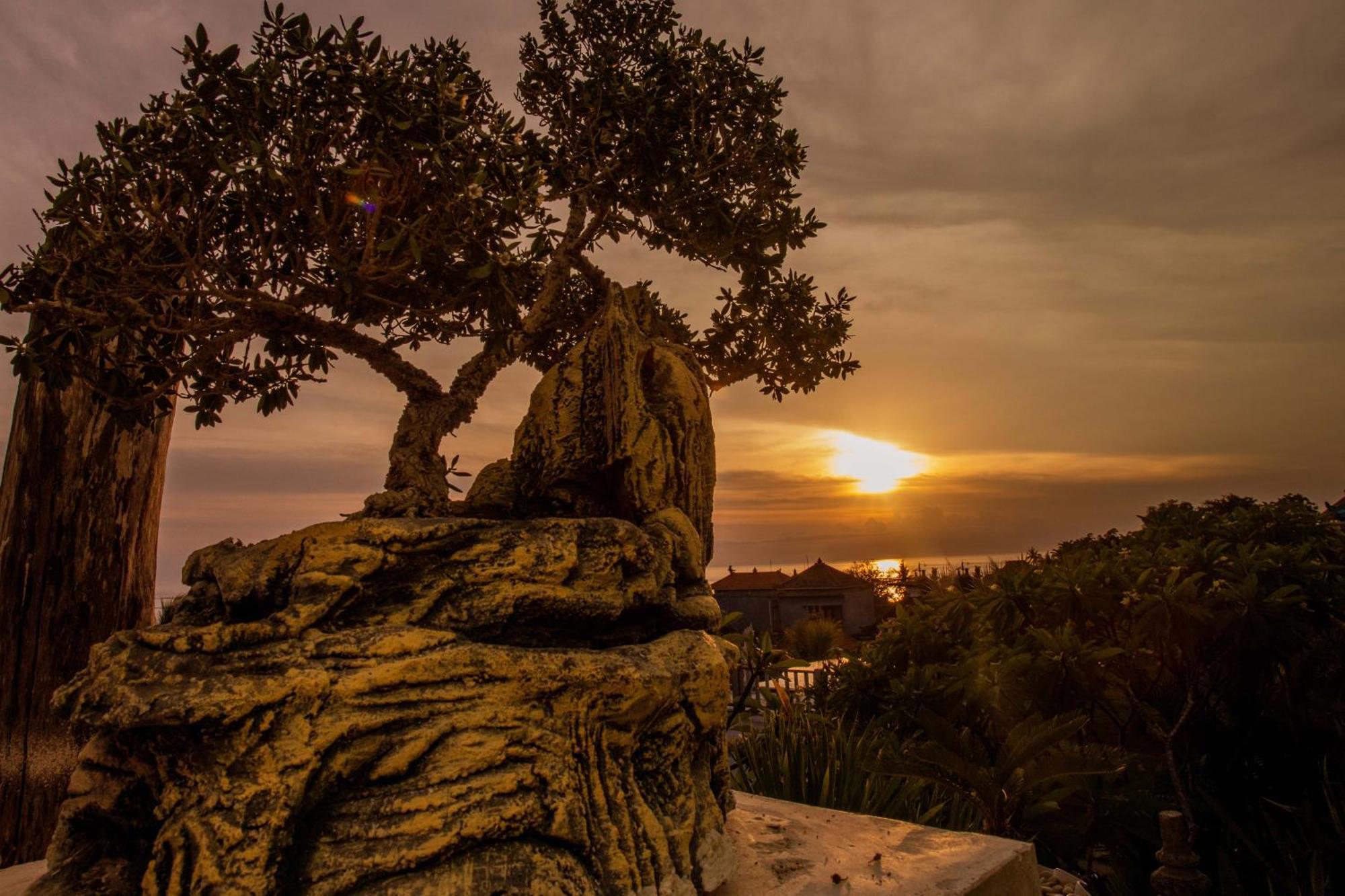 Nusa View - Oceanfront Rentals Lembongan Dış mekan fotoğraf